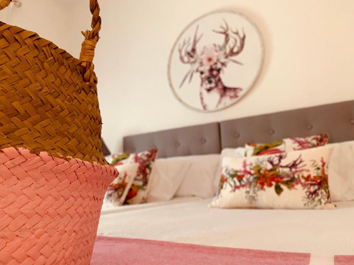Casa Ruy Lopez Hotel Zafra Bagian luar foto