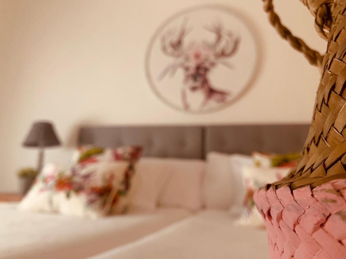 Casa Ruy Lopez Hotel Zafra Bagian luar foto